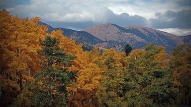 Near Cuchara Pass in Cuchara, CO. Amazing colors in fall