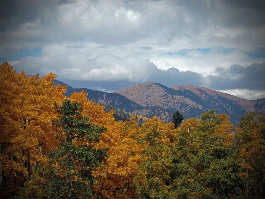 Near Cuchara Pass in Cuchara, CO.  Amazing colors in fall