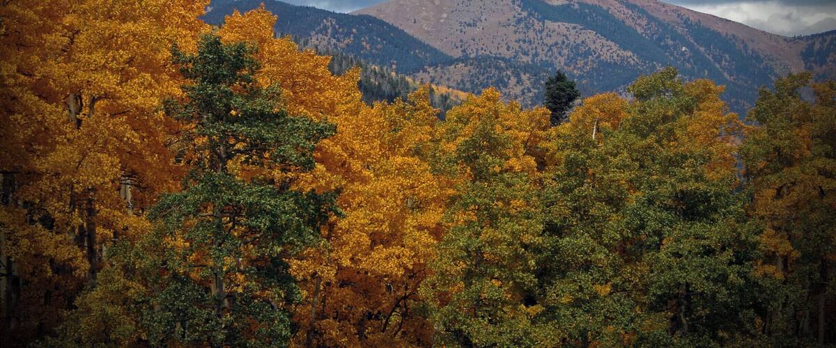 Near Cuchara Pass in Cuchara, CO. Amazing colors in fall