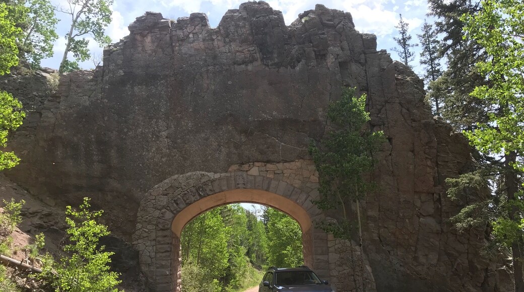 Natural dike with road going thru