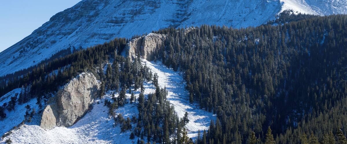 A snow-covered mountain with a rocky outcrop and dense forest at its base.