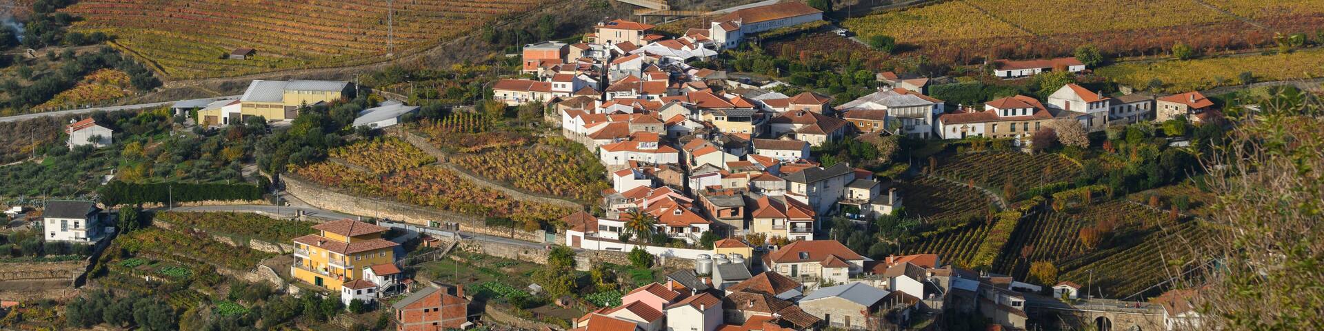 Elevated view of houses in a village, Lamego Municipality, Viseu District, Douro Valley, Portugal