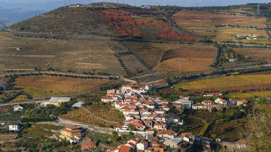 Elevated view of houses in a village, Lamego Municipality, Viseu District, Douro Valley, Portugal