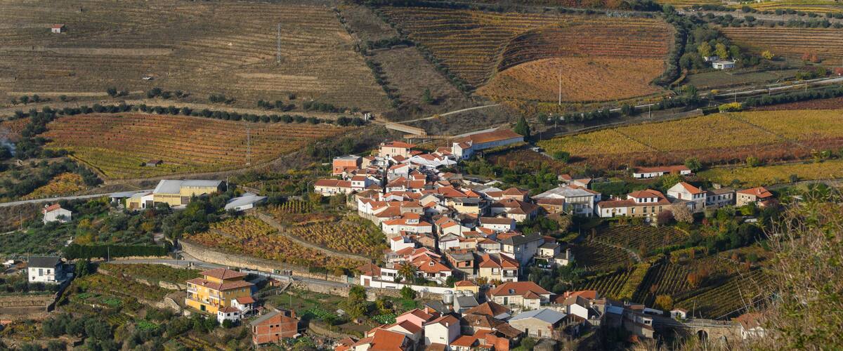 A hillside town with terraced vineyards and houses with red-tiled roofs.