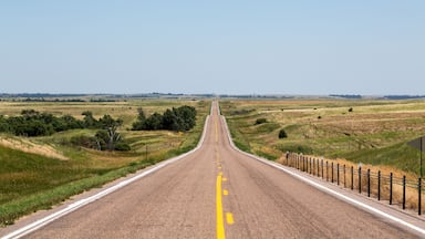 Una carretera recta con línea amarilla central, bordeada por campos verdes y una valla de madera a un lado.