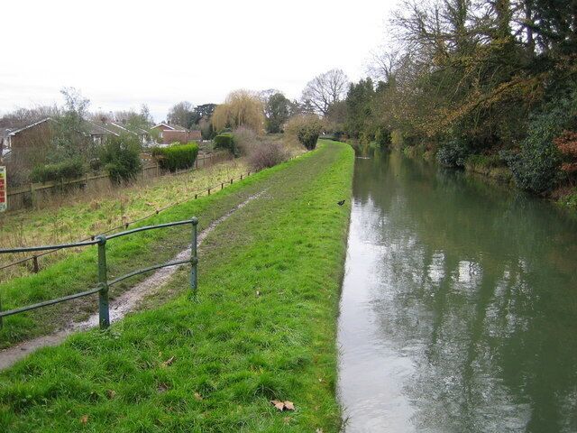 The New River, Spitalbrook This photo shows how high the river is compared to the residential Admirals Walk estate to the left. The black bird on the bank was a coot. The photo was taken from the Upper Marsh Lane road bridge.