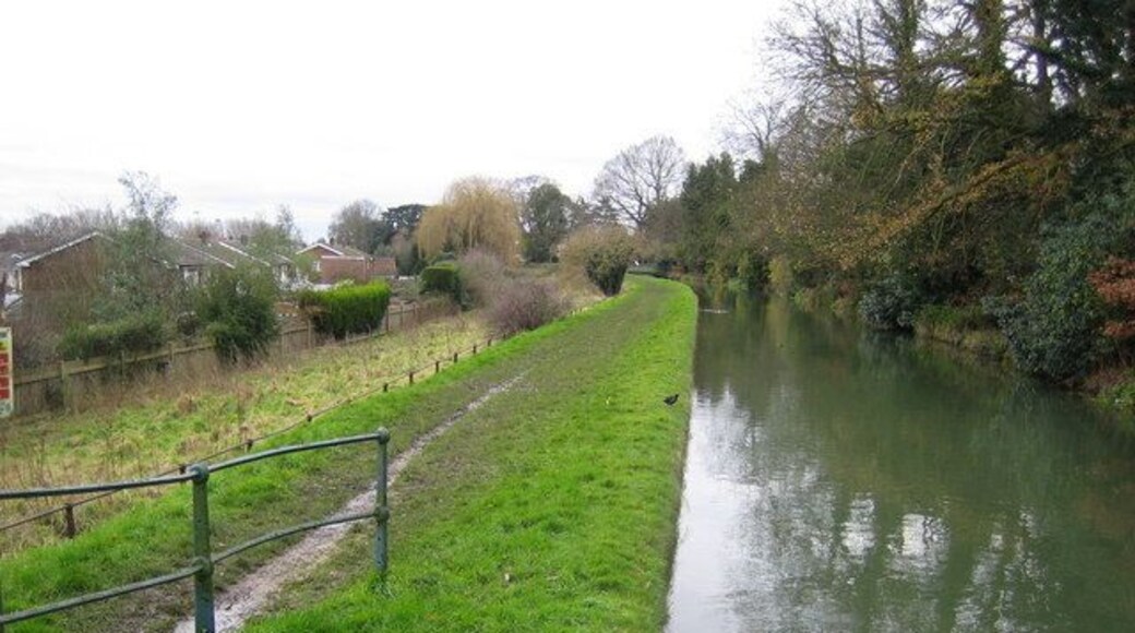 The New River, Spitalbrook This photo shows how high the river is compared to the residential Admirals Walk estate to the left. The black bird on the bank was a coot. The photo was taken from the Upper Marsh Lane road bridge.