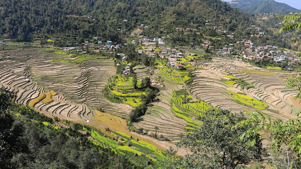 Balthali village rice fields, Kathmandu Valley Nepal