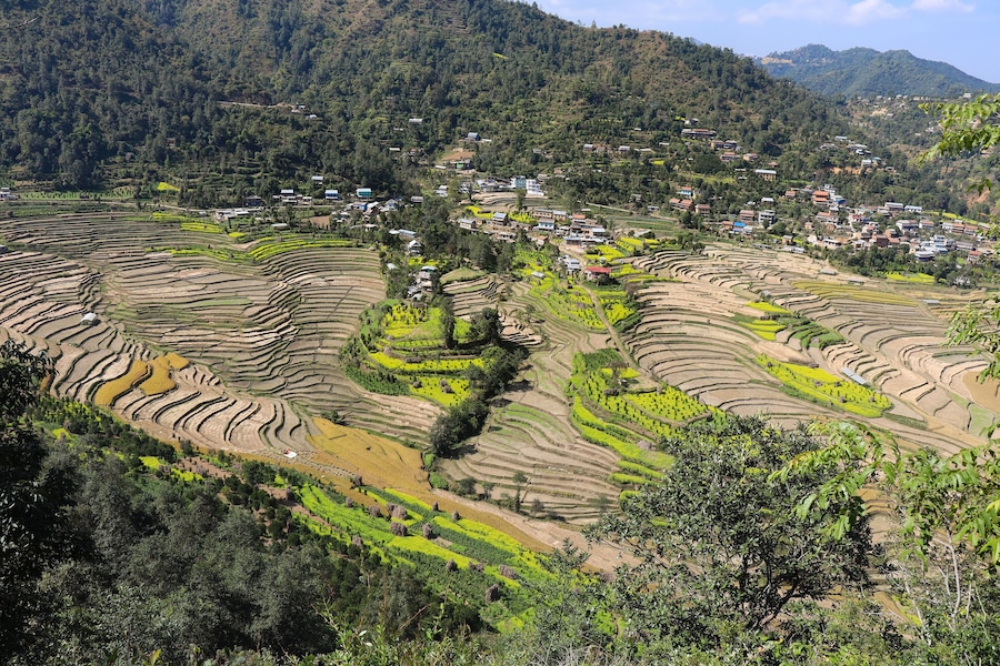 Balthali village rice fields, Kathmandu Valley Nepal