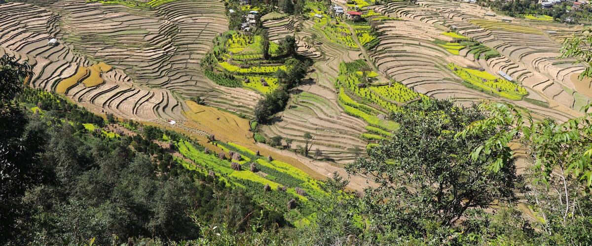 Terraced rice fields, a village, and a mountainous backdrop.