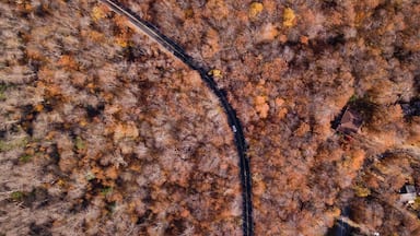 Autumn’s end making way for winter wonder
#ontheroad #autumn #foliage #car #roadtrip #road #travel #local
#roadtrip #travel #fall
#nature