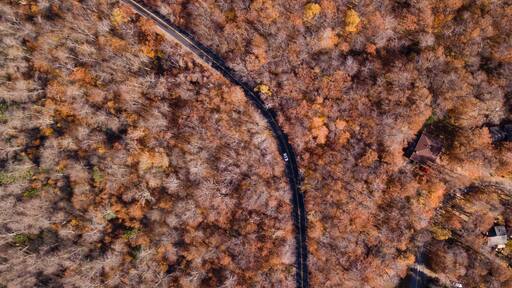 Autumn’s end making way for winter wonder
#ontheroad #autumn #foliage #car #roadtrip #road #travel #local
#roadtrip #travel #fall
#nature
