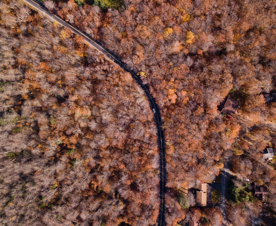Autumn’s end making way for winter wonder
#ontheroad #autumn #foliage #car #roadtrip #road #travel #local
#roadtrip #travel #fall
#nature