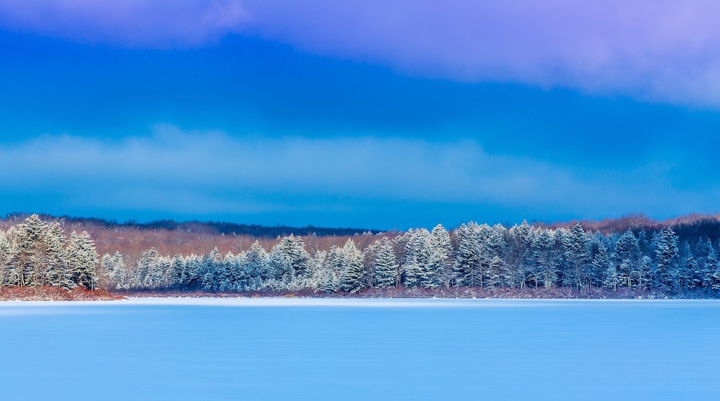 Something about a frozen lake and cloudy but blue skies that makes me love winter
#bvsblue #statepark #roadtrip #travel #winter #hiking #hike #weather #pennsylvania
#nature