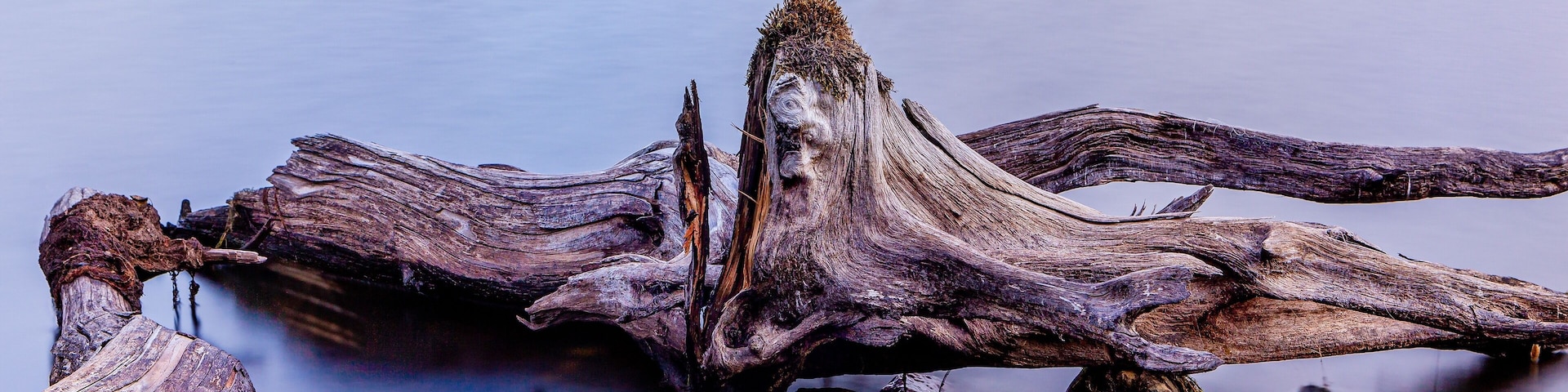Just a lonely stump.
#roadtrip
#statepark
#parks
#autumn
#fall
#foliage