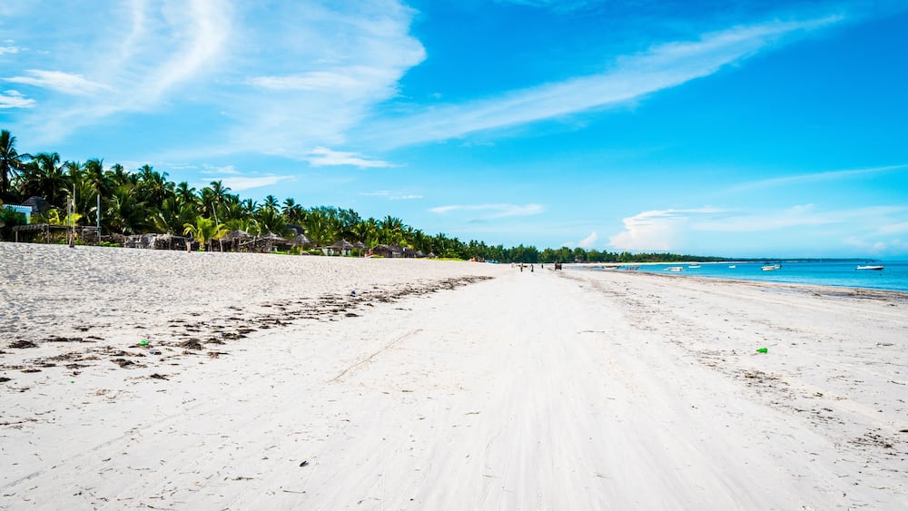 Pwani Mchangani Beach , Zanzibar, Tanzania, Africa