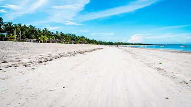 Pwani Mchangani Beach , Zanzibar, Tanzania, Africa