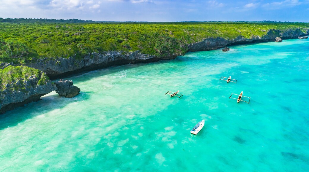 Aerial. Seascape, Zanzibar, Tanzania.