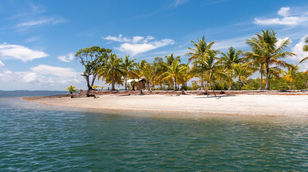 Island paradise with coconut trees and blue sky in the sea of Bahia, Brazil.