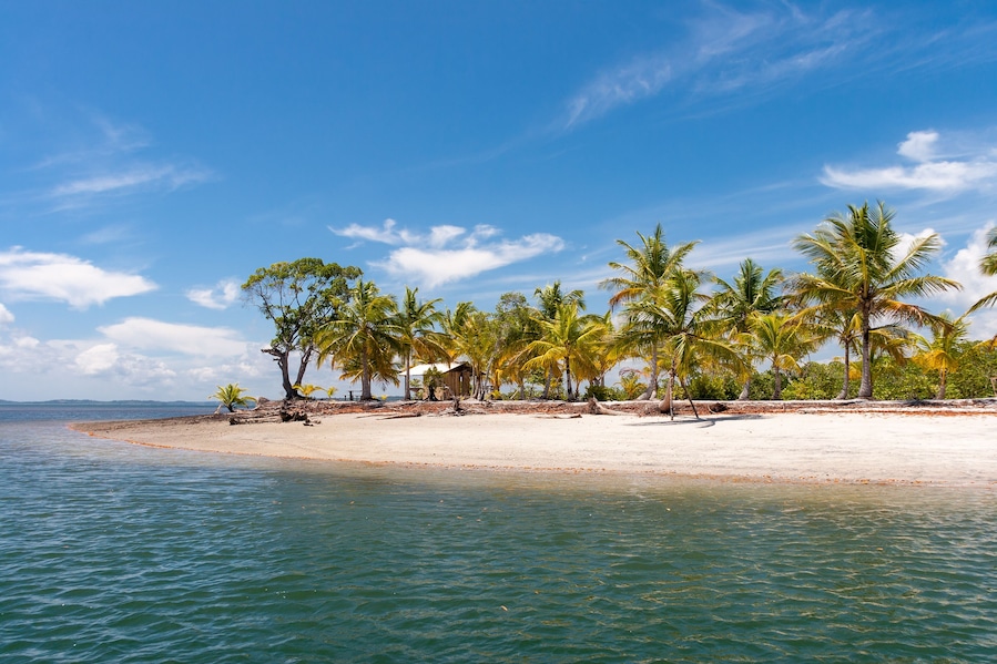 Island paradise with coconut trees and blue sky in the sea of Bahia, Brazil.
