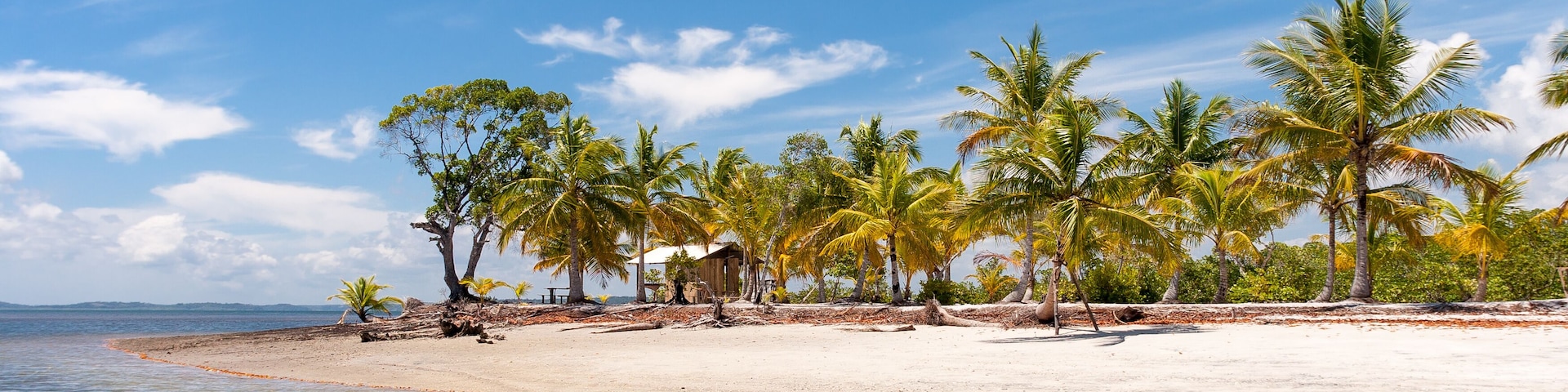 Island paradise with coconut trees and blue sky in the sea of Bahia, Brazil.