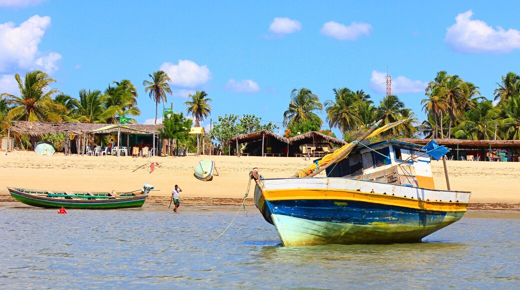 Barra Grande, Piauí, Brazil. Boats, shallow water, beach, rustic restaurants and palm trees.