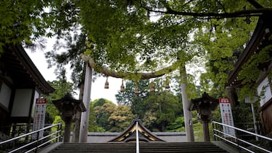 Un templo japonés tradicional con una escalera que conduce a una puerta, rodeado de exuberante vegetación.