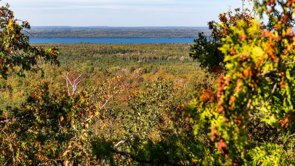 A forested landscape with a lake in the distance.