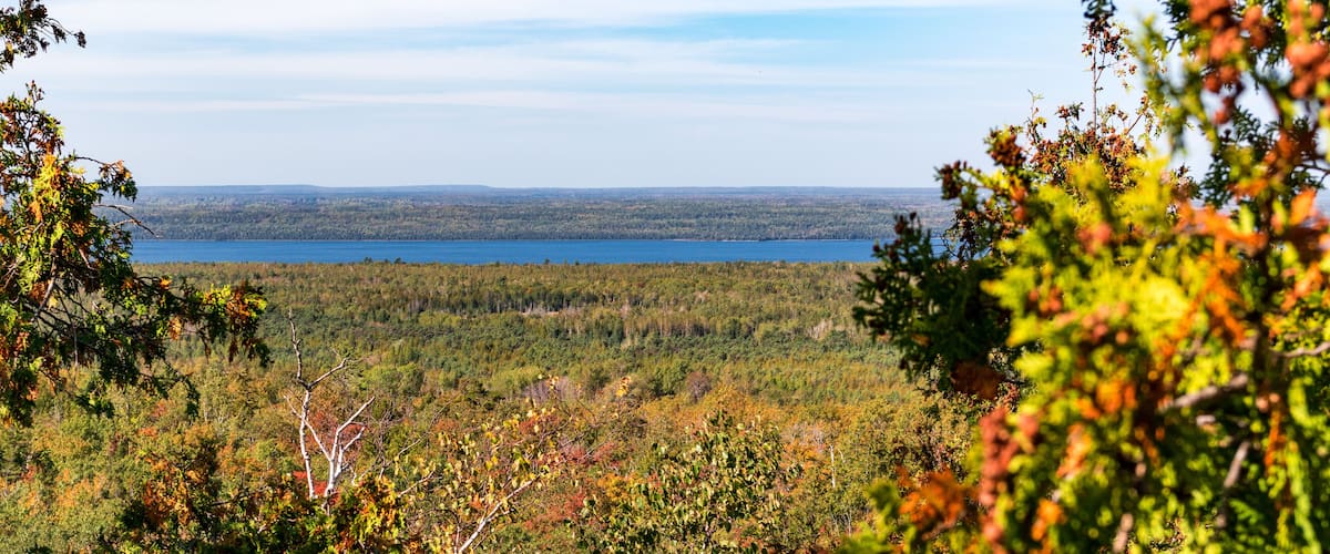 A forested landscape with a lake in the distance.