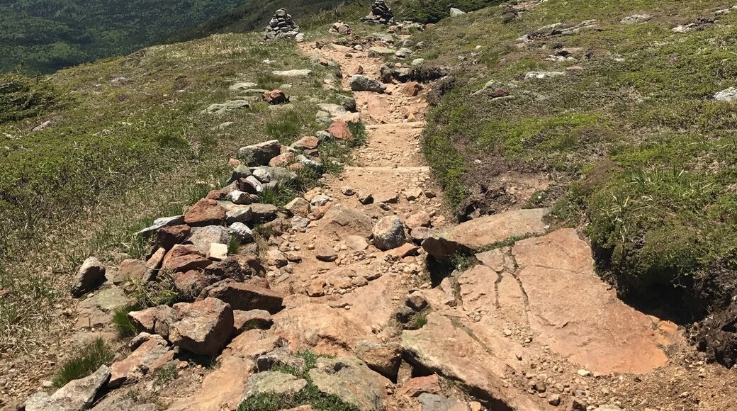 Views from Eisenhower #takeahike