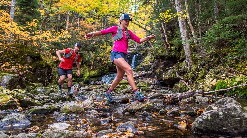 Man and woman trail runners rock-hopping in a river with fall foliage