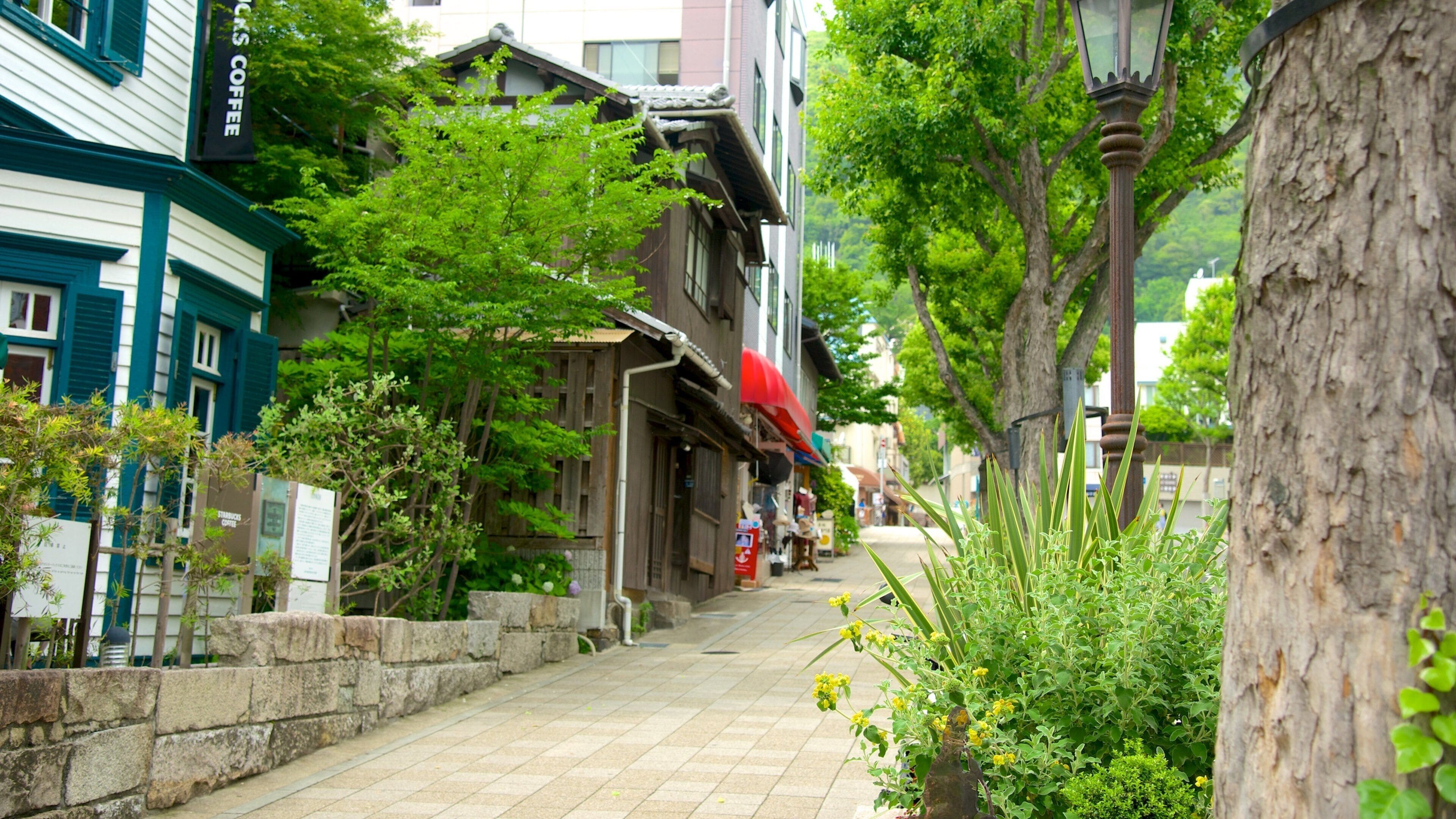 Kitano featuring street scenes and a small town or village