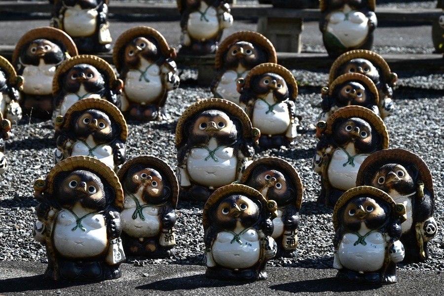 Japan tourism. Famous pottery. Famous pottery Shigaraki Ware. It is famous for its raccoon dog ( Tanuki ) ornaments. Koka city, Shiga prefecture, Japan.