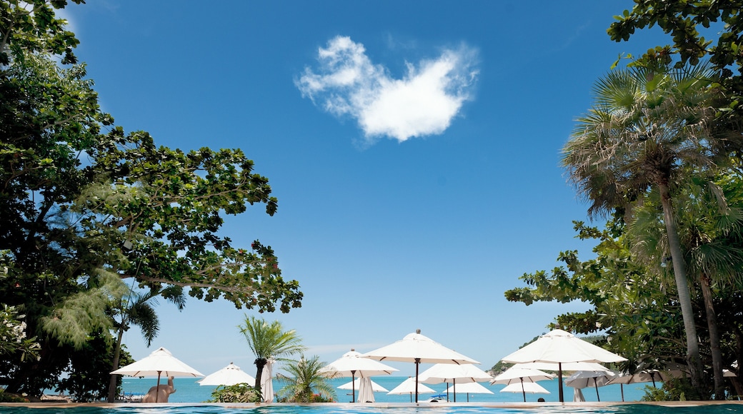 swimming pool by the sea on Ko Pha-Ngan Thailand