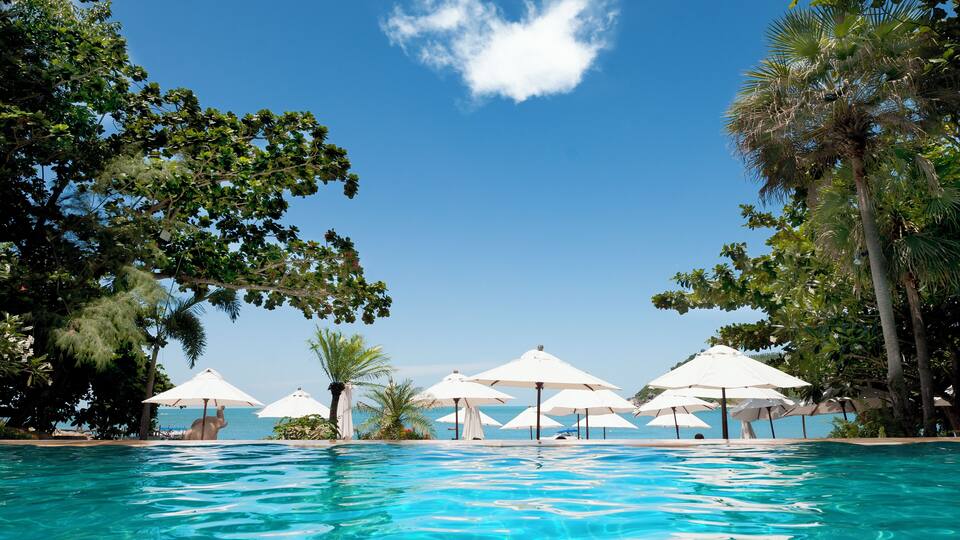 A clear blue pool surrounded by trees and umbrellas.
