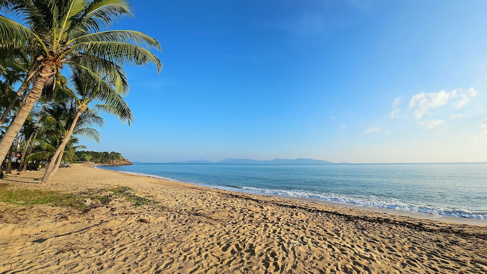 A sandy beach with palm trees and calm sea under a clear blue sky.