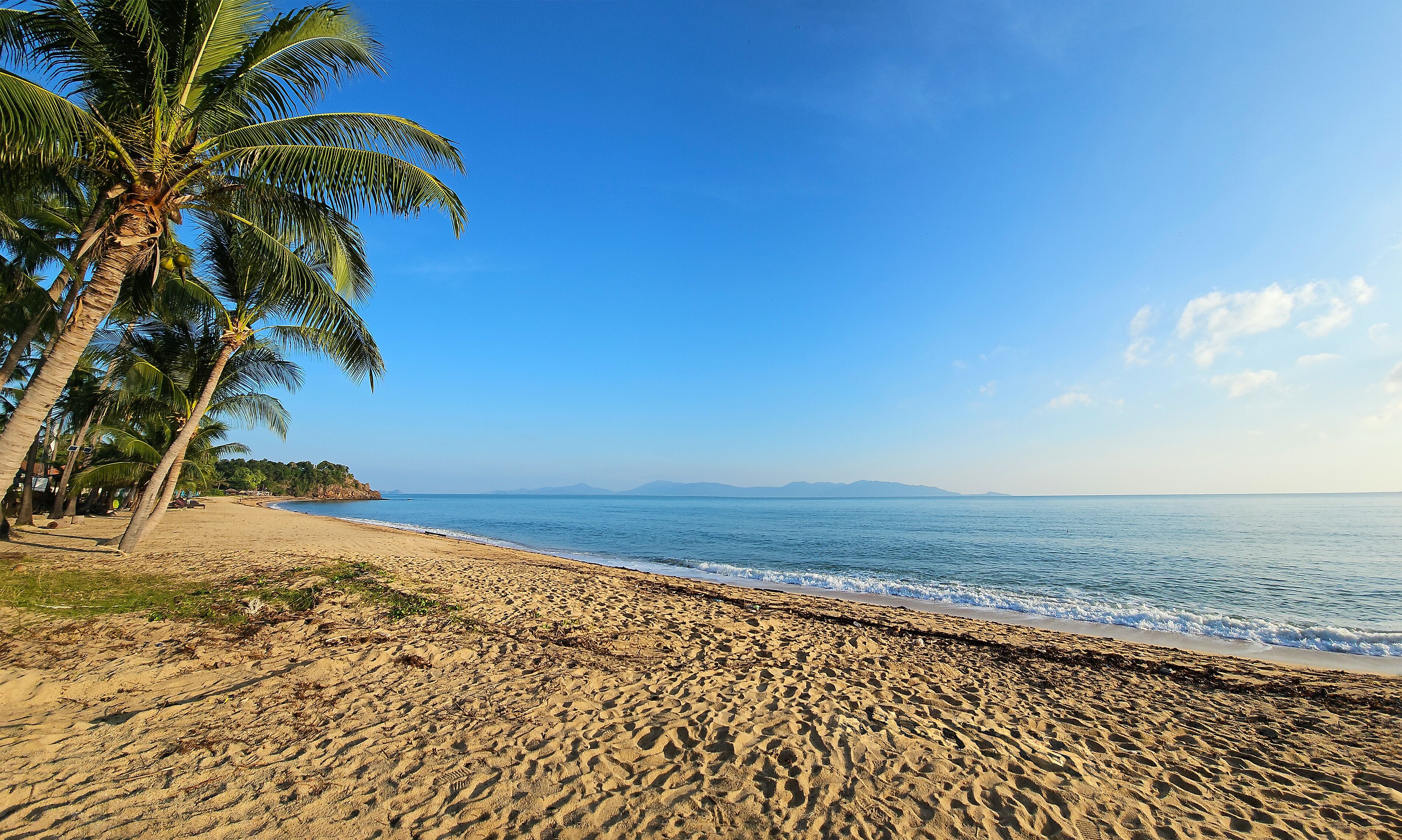 A sandy beach with palm trees and calm sea under a clear blue sky.