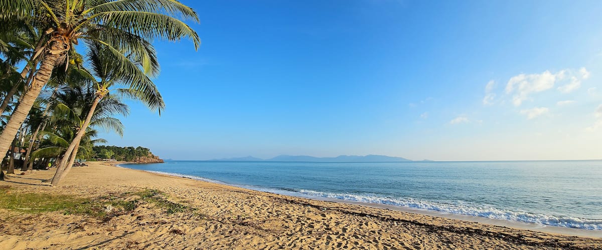 A sandy beach with palm trees and calm sea under a clear blue sky.