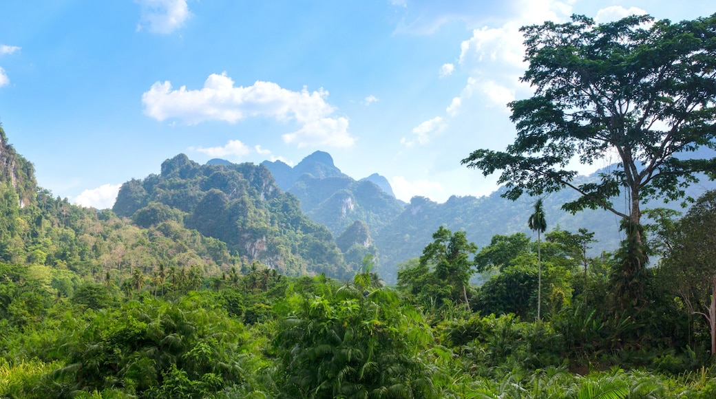Parco Nazionale di Khao Sok