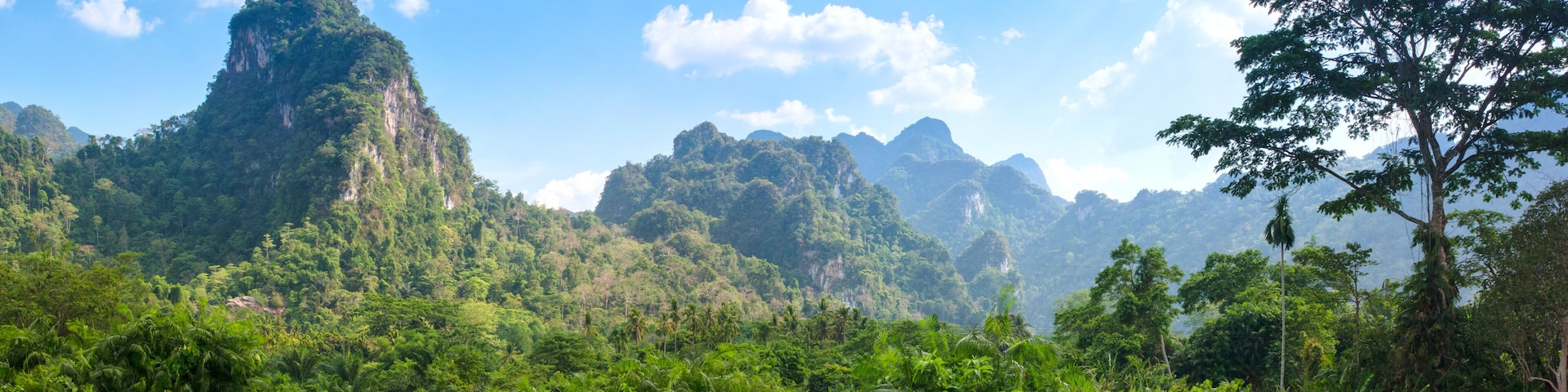 Un paysage verdoyant et luxuriant, dominé par un sommet montagneux imposant et une forêt dense.