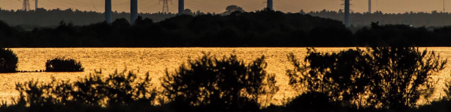 The out stretched hand like part in the map of Sri Lanka is called to be Kalpitiya. If you have enough time in Sri Lanka, it is worth to have a journey to this part of the Island. The scenery of wind turbines during the evening is simply amazing.