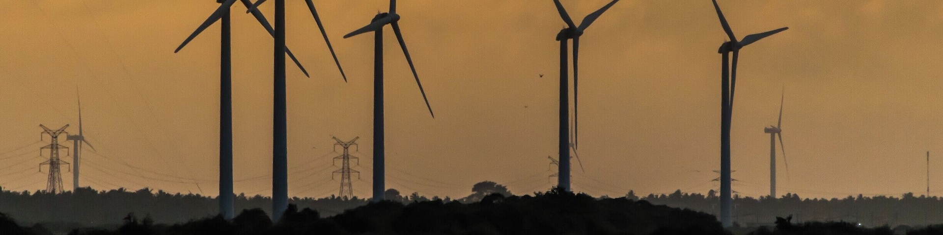 The out stretched hand like part in the map of Sri Lanka is called to be Kalpitiya. If you have enough time in Sri Lanka, it is worth to have a journey to this part of the Island. The scenery of wind turbines during the evening is simply amazing.