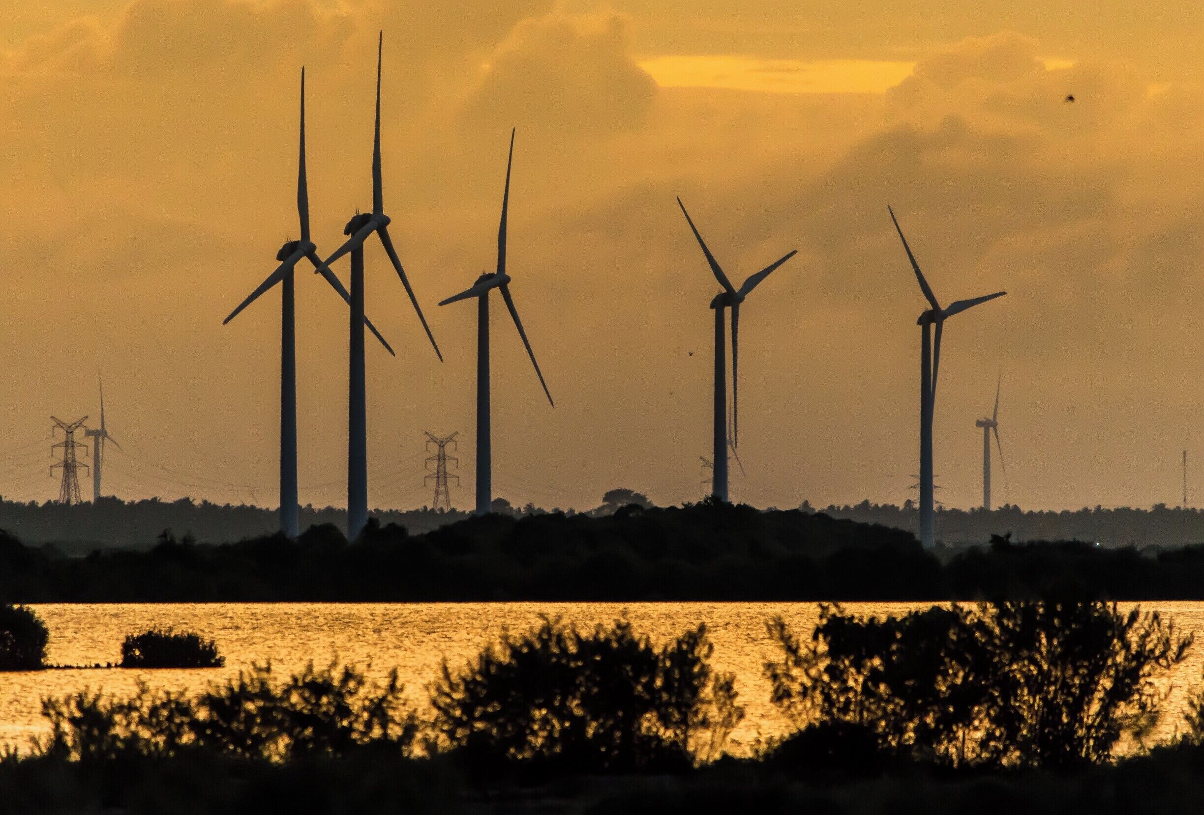 Wind turbines silhouetted against a sunset sky, with a body of water in the foreground.