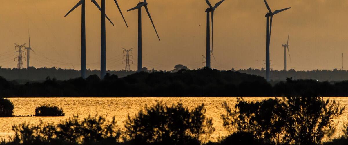 Wind turbines silhouetted against a sunset sky, with a body of water in the foreground.