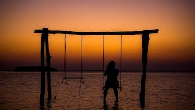 A silhouette of a person on a swing at sunset by the sea.
