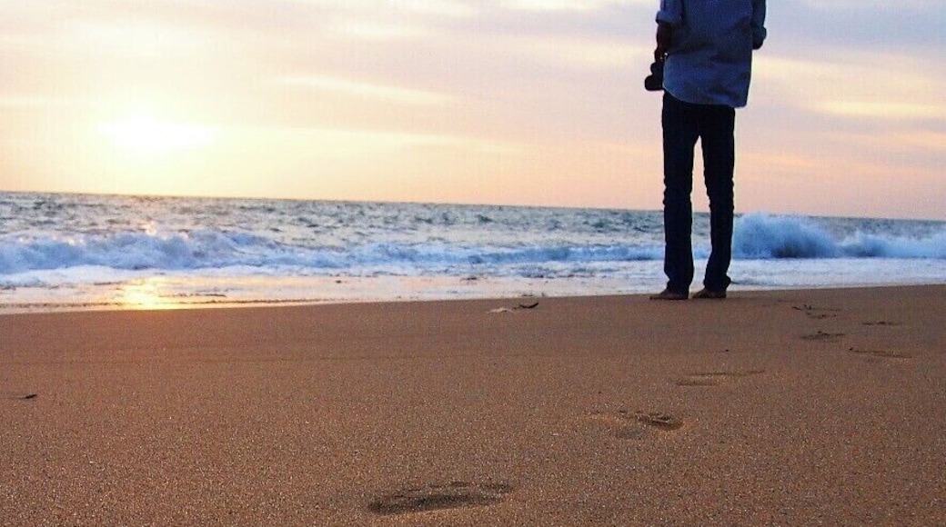 Another evening of our long road trip at Kalpitiya Beach. It is my travelling mate is posing on the picture. When we reached Kalpitiya, we were too tired and fed up of walking. We relaxed well in the beach.
Kalpitiya is well known for Kite surfing, Whale watching and boat riding. There are several small islands in Kalpitiya and camping in them is one in a life time experience.