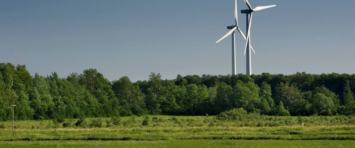 Two wind turbines in a green field with a forest in the background.