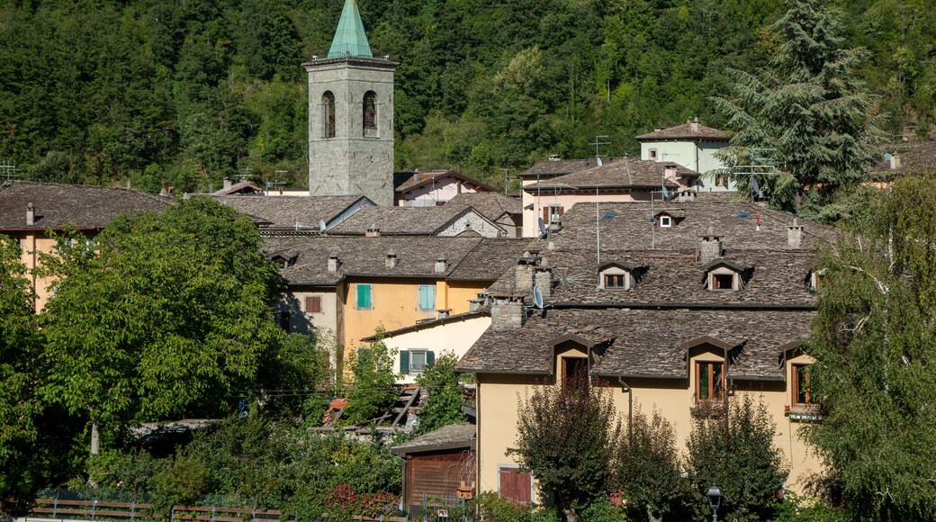 ラーマ モコーニョ