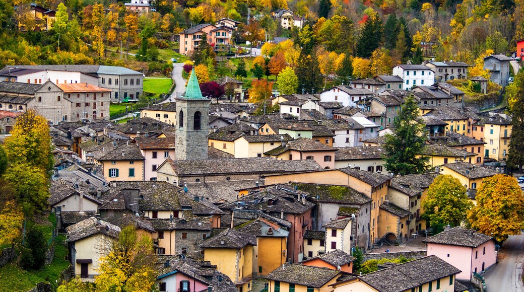 ラーマ モコーニョ