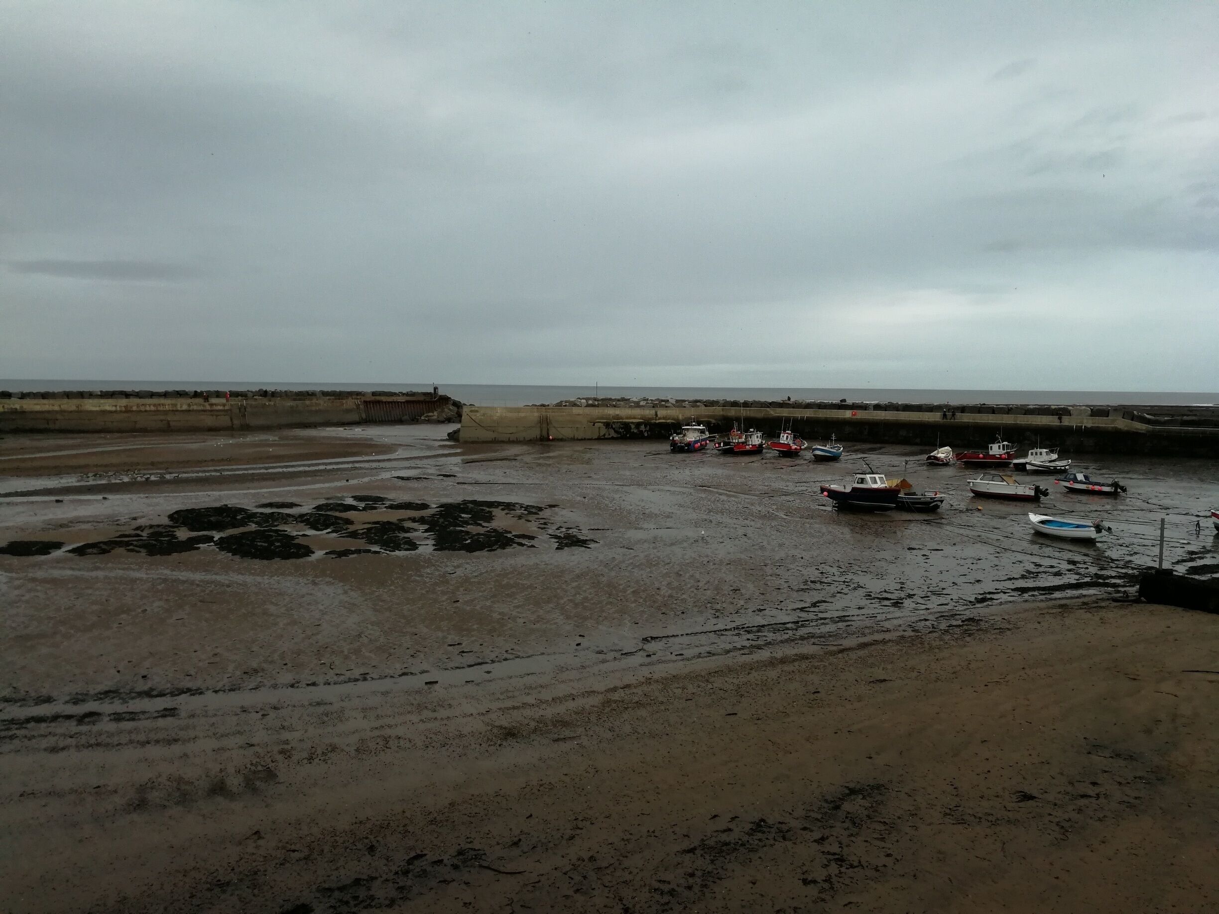 The tide is entirely out this afternoon, giving a dramatic scene whilst we eat our lunch over the bay. 